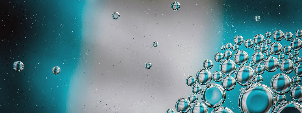 Cosmos by Robert Blackmore