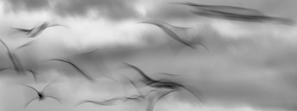 Fantasy Flight by Keith Buckley